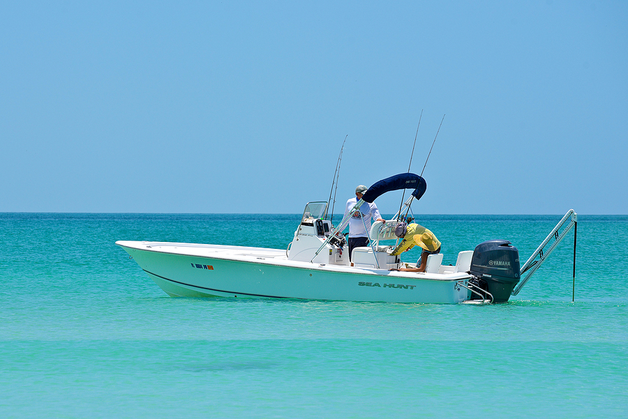 4 Day Trips that Start at the Dock