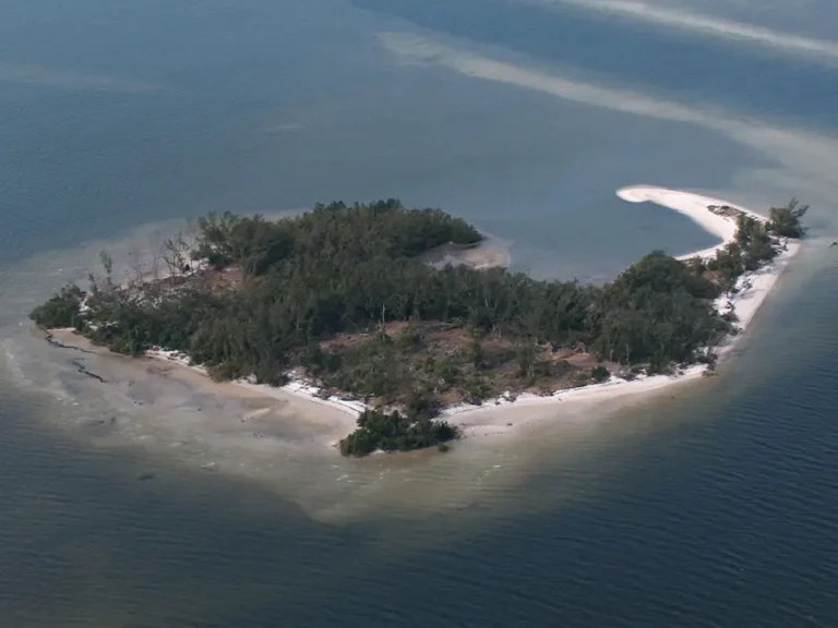 Aerial view of a small mangrove island and sandbar