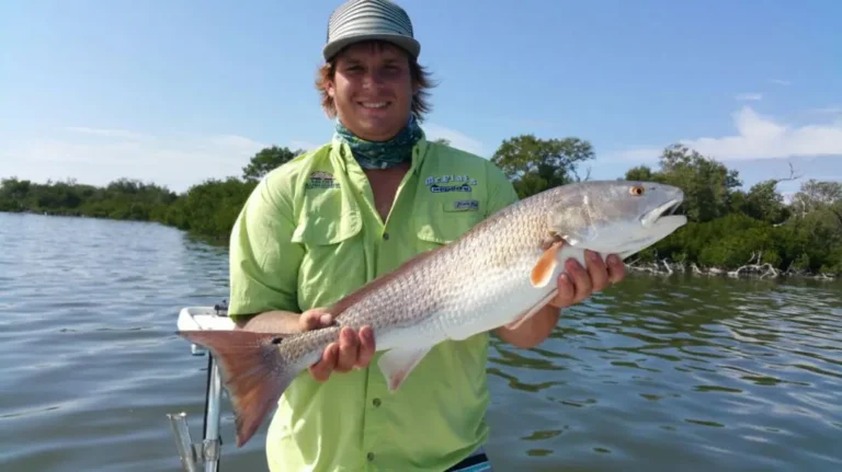 Angler holding a redfish caught in the back bay