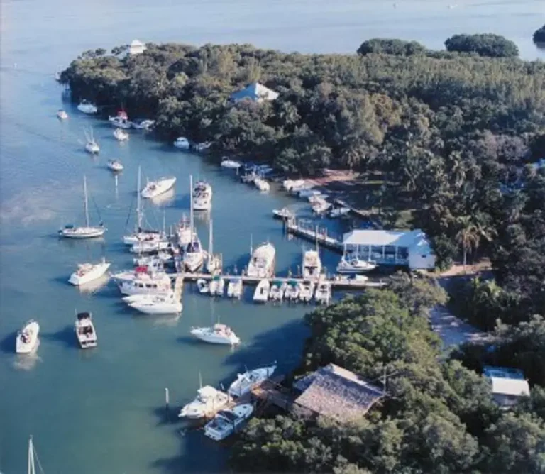 Cabbage key