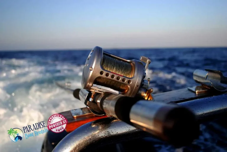 Fishing cc