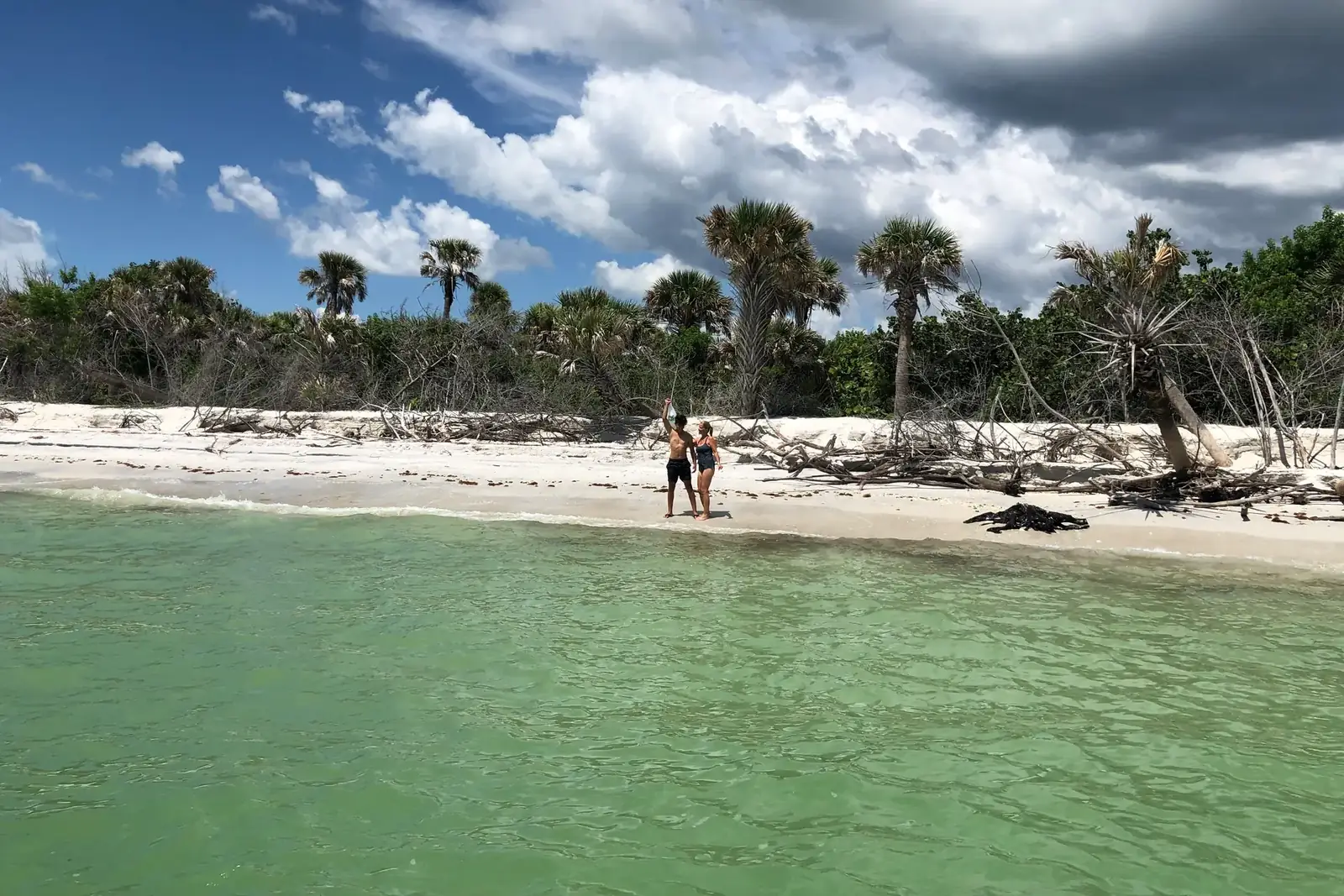 White-sand island beach with palms and driftwood seen from the water in Southwest Florida